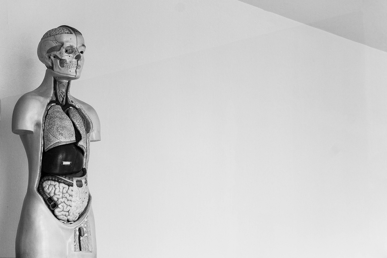 How to Understand Human Behavior for Better Safety Protocols?